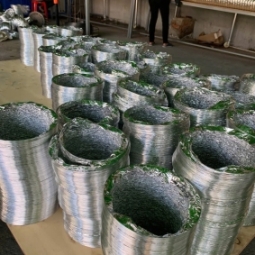 đôi nét về vĩnh hưng